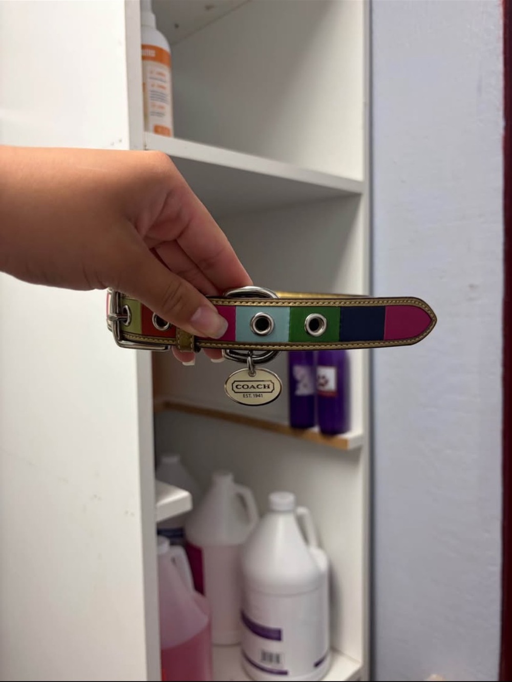 Coach Legacy Rainbow Leather Dog Collar with Pendant